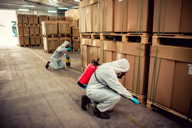 Best Flea Control Services  in Cedar Point, NC