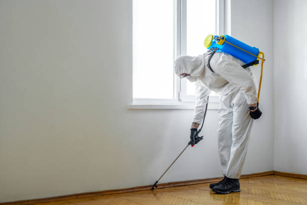 Best Emergency Pest Control  in Cedar Point, NC
